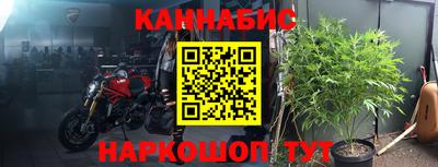 ПСИЛОЦИБИНОВЫЕ ГРИБЫ Новокубанск